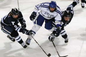 篮球场上的奇迹比赛，篮球场上的奇葩